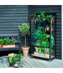 Juliana City Greenhouse