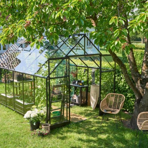 Halls Black Qube Greenhouse - With Toughened Glass 8' x 12'
