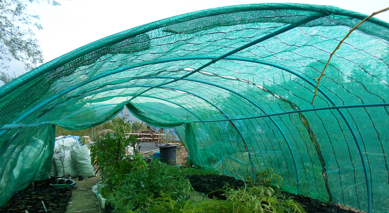 Greenhouse Shading