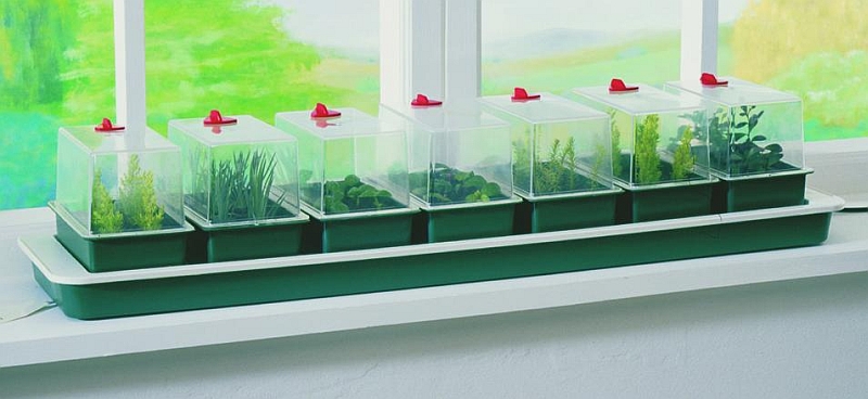 Heated Electric Plant Propagator