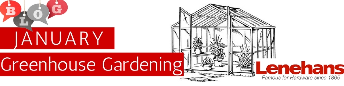Gardening In The Greenhouse - January Blog