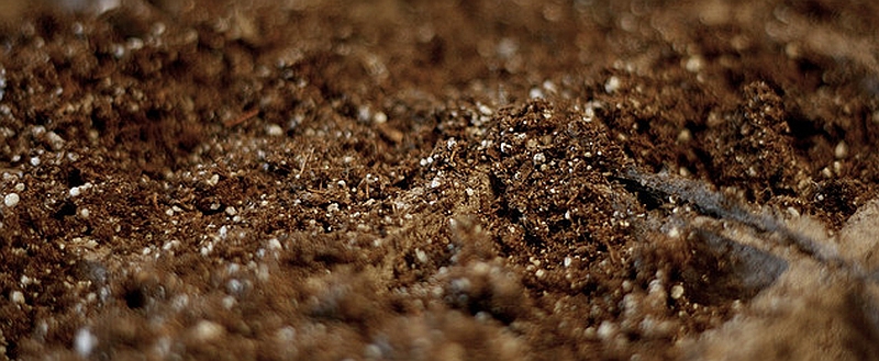 Soilless Seed Starting Mixtures