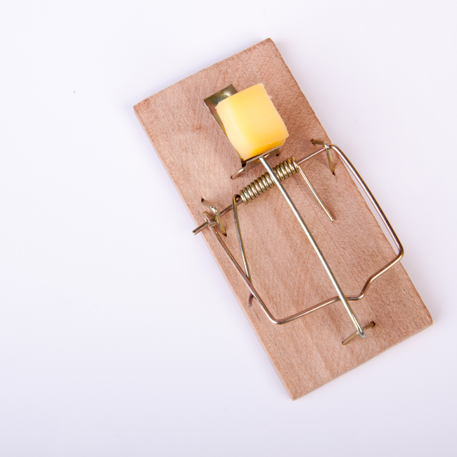 Pest Control in September: Protecting Your Home This Autumn