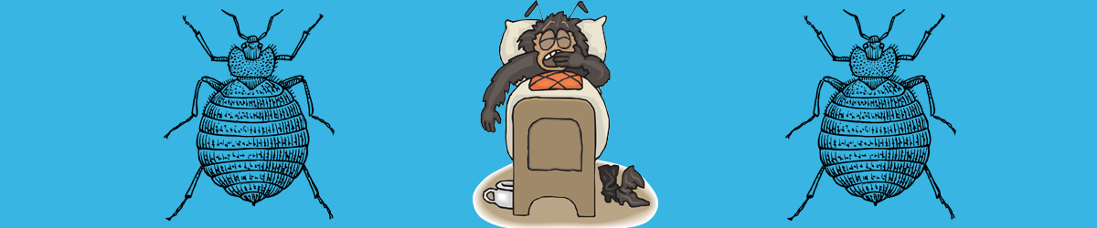 Bed Bug Blog Centre Image Graphic