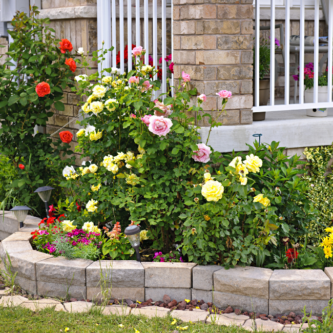 10 Simple Front Garden Tips to Transform Your Home’s Exterior