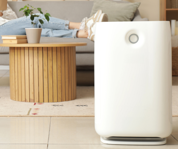 Understanding Moisture Absorbers, Dehumidifiers, and Air Purifiers