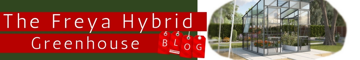 Freya Greenhouse Blog