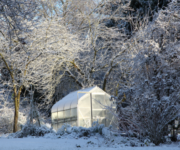 Keeping Your Greenhouse Warm During Cold Weather