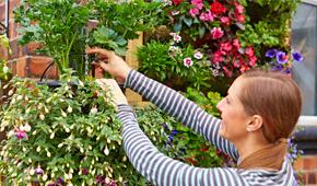 Irrigatia Garden Plant Watering System
