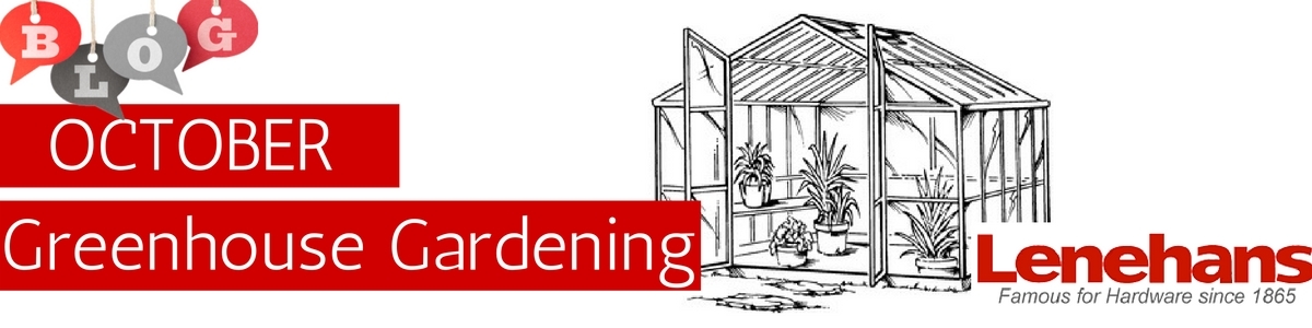 October Gardening In The Greenhouse