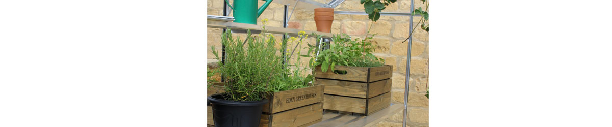 Greenhouse Potted Planting Image