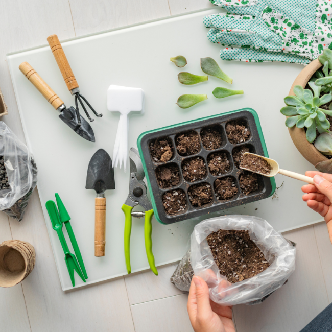 Spring Planting Guide: Grow Your Best Garden Yet 