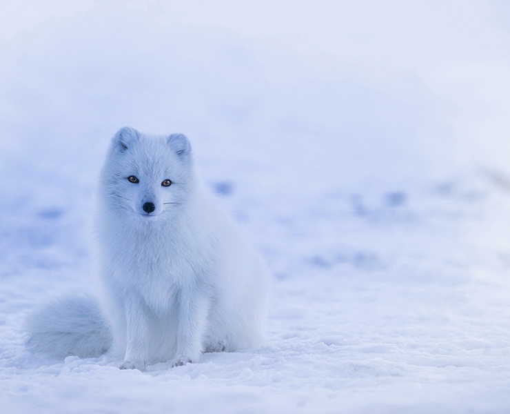 Did You Know....    The World&#039;s Coldest Place